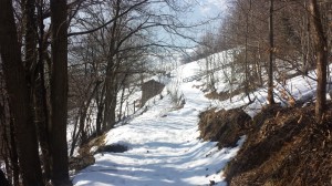 20150212_124121 